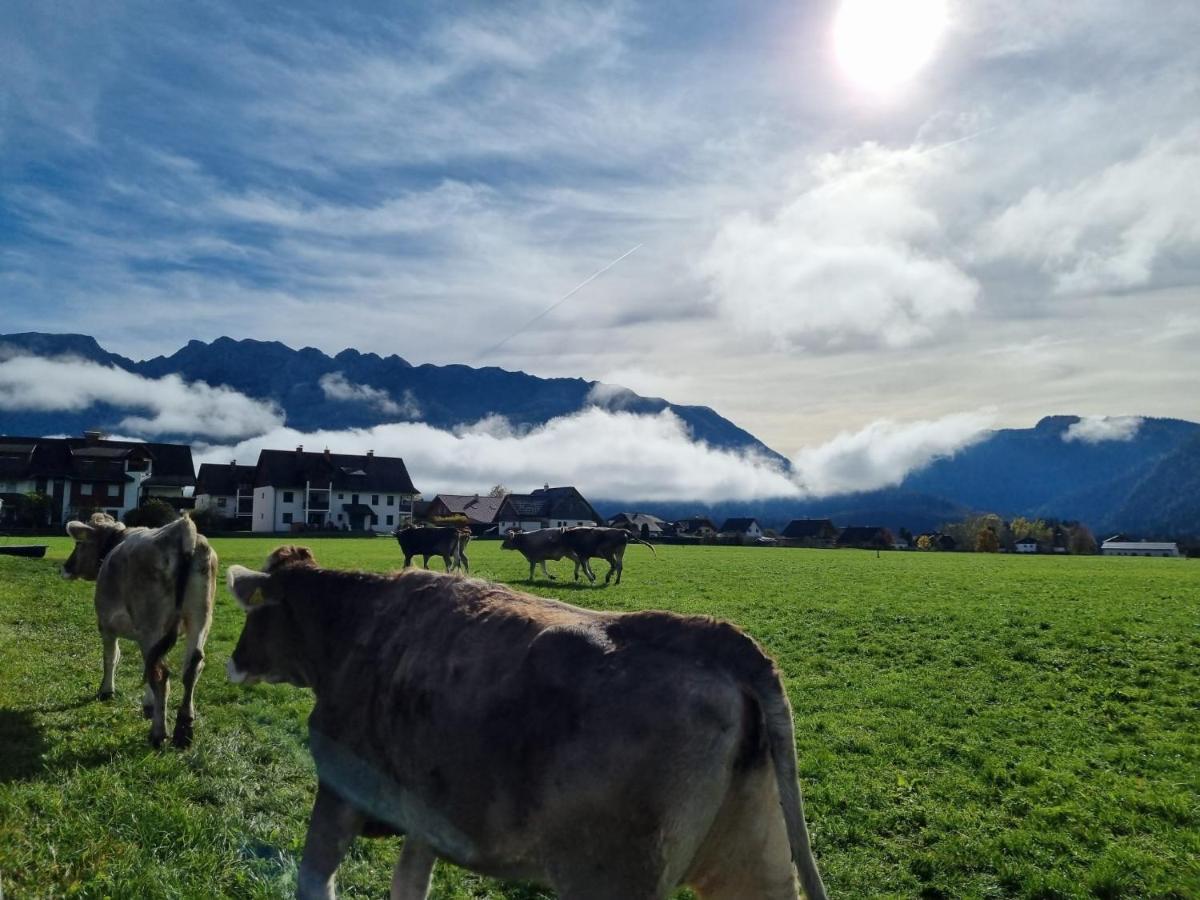 Urlaub Am Bauernhof Bei Familie Steinbrecher Bad Mitterndorf Exterior foto