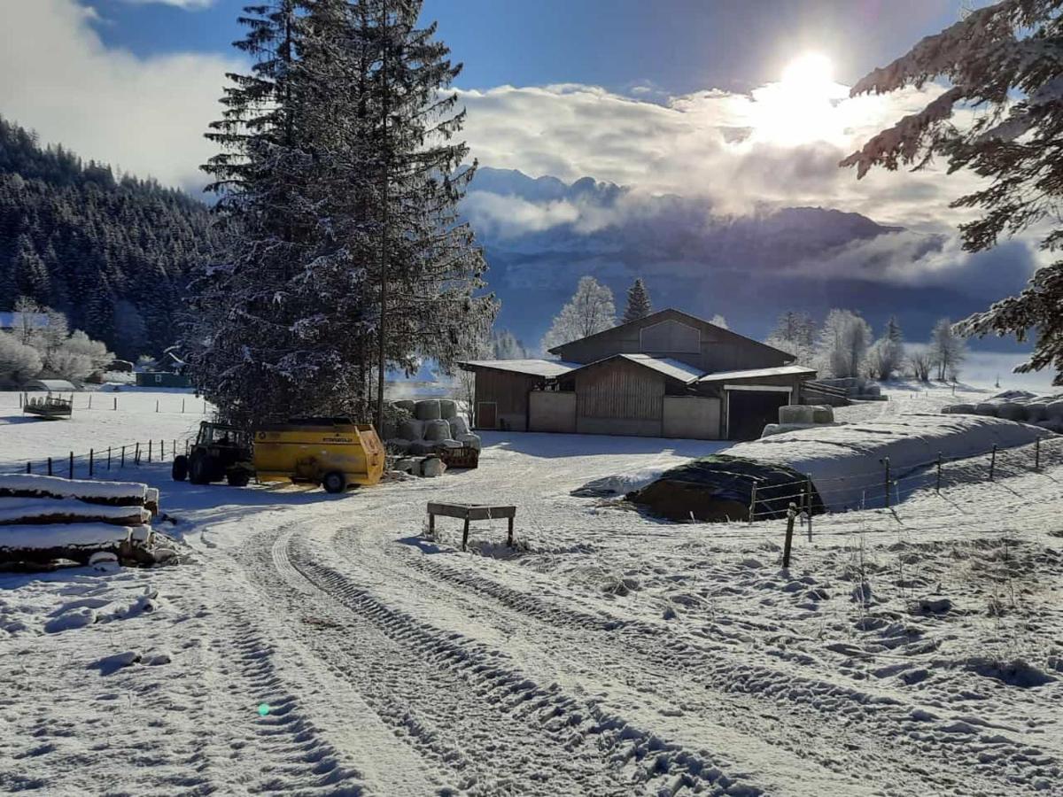 Urlaub Am Bauernhof Bei Familie Steinbrecher Bad Mitterndorf Exterior foto